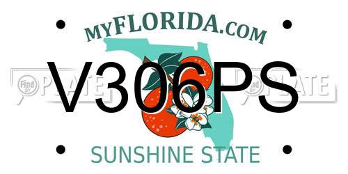 V306PS Florida License Plate