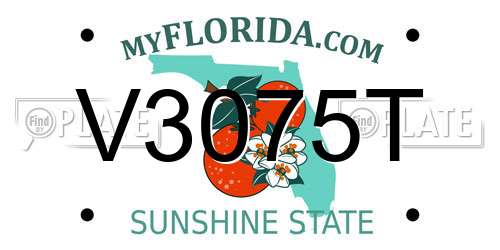 V3075T Florida License Plate
