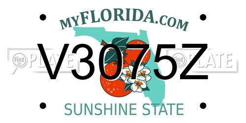 V3075Z Florida License Plate