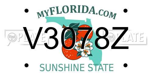 V3078Z Florida License Plate