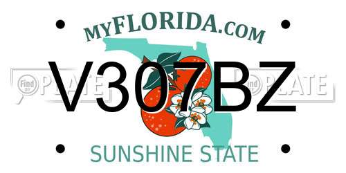 V307BZ Florida License Plate