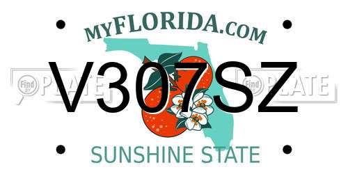 V307SZ Florida License Plate