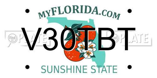 V30TBT Florida License Plate
