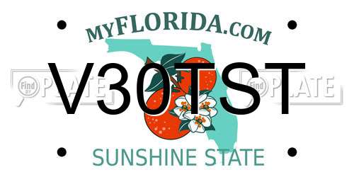V30TST Florida License Plate