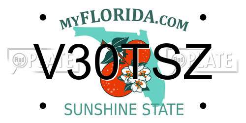 V30TSZ Florida License Plate