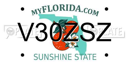 V30ZSZ Florida License Plate