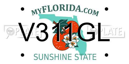 V311GL Florida License Plate