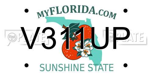 V311UP Florida License Plate
