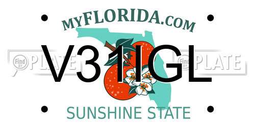 V31IGL Florida License Plate