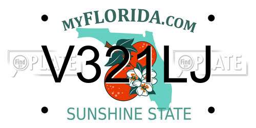 V321LJ Florida License Plate