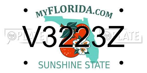 V3223Z Florida License Plate