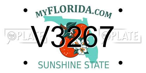 V3267 Florida License Plate