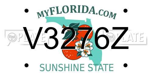 V3276Z Florida License Plate