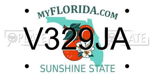 V329JA Florida License Plate