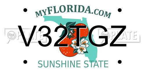 V32TGZ Florida License Plate