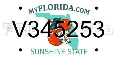 V345253 Florida License Plate
