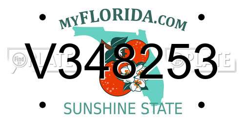 V348253 Florida License Plate