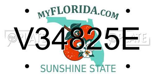 V34825E Florida License Plate
