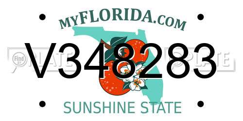 V348283 Florida License Plate