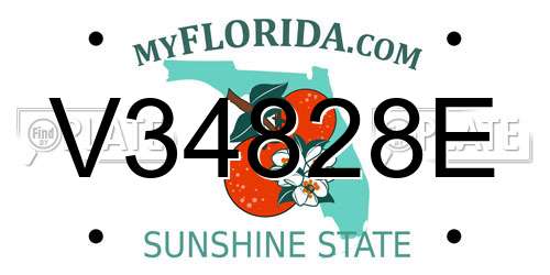 V34828E Florida License Plate