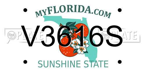 V3616S Florida License Plate