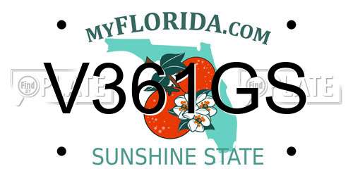 V361GS Florida License Plate