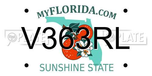 V363RL Florida License Plate