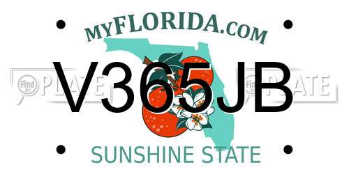 V365JB Florida License Plate
