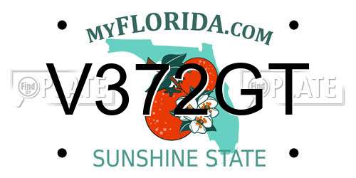 V372GT Florida License Plate