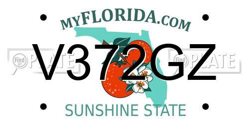 V372GZ Florida License Plate