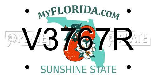 V3767R Florida License Plate