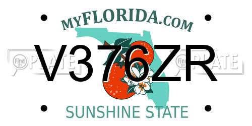 V376ZR Florida License Plate