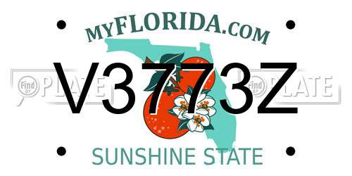 V3773Z Florida License Plate