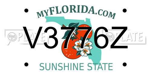 V3776Z Florida License Plate