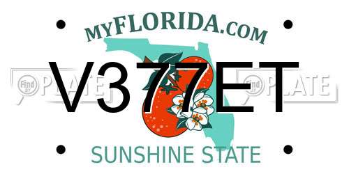 V377ET Florida License Plate
