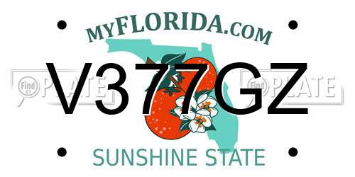 V377GZ Florida License Plate