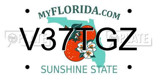 V37TGZ Florida License Plate