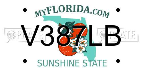 V387LB Florida License Plate
