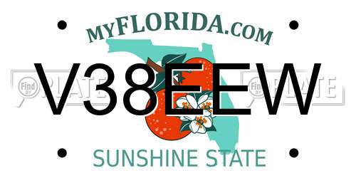 V38EEW Florida License Plate