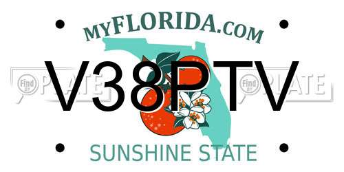 V38PTV Florida License Plate