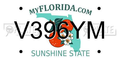 V396YM Florida License Plate