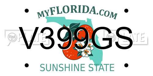 V399GS Florida License Plate