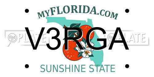 V3RGA Florida License Plate