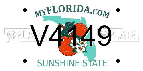 V4149 Florida License Plate