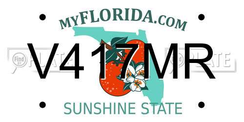 V417MR Florida License Plate