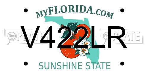 V422LR Florida License Plate