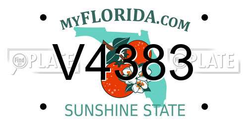 V4383 Florida License Plate