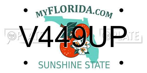 V449UP Florida License Plate