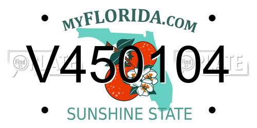 V450104 Florida License Plate
