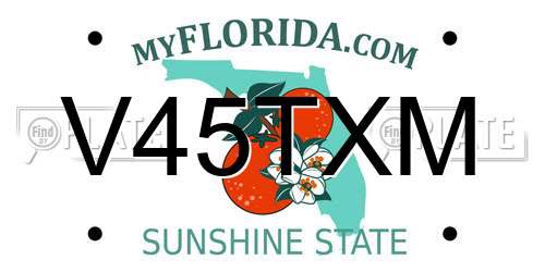 V45TXM Florida License Plate